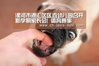  体育资讯